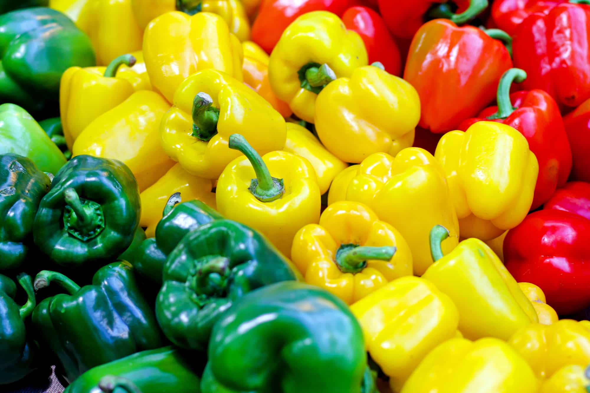 Bell pepper
