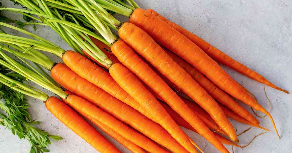 Carrot