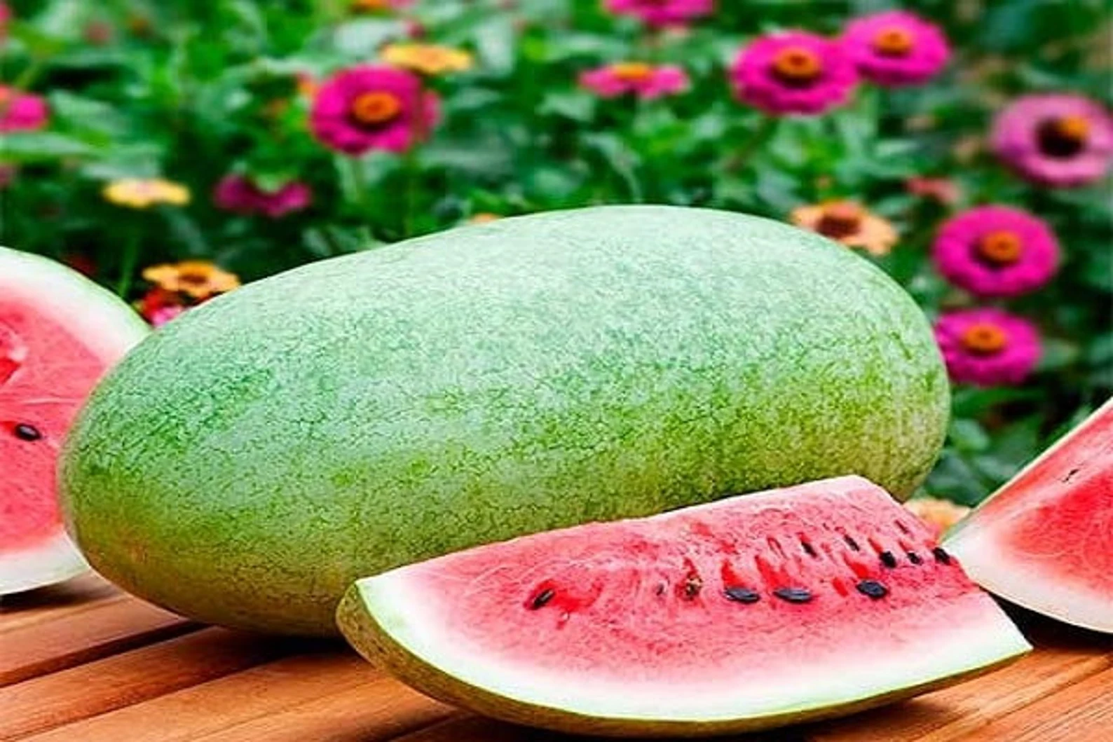 Charleston Grey Watermelon