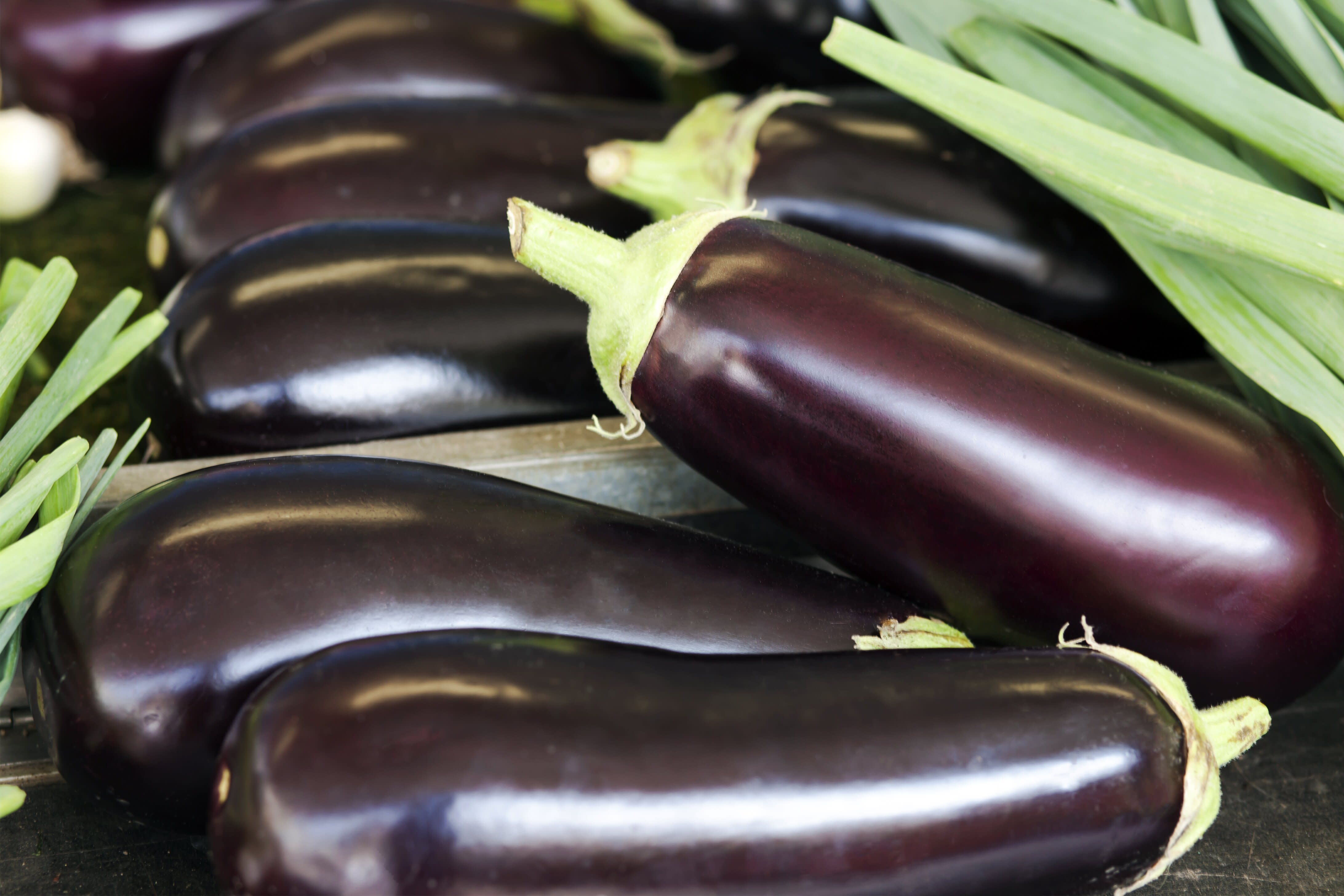 Chinese Eggplant