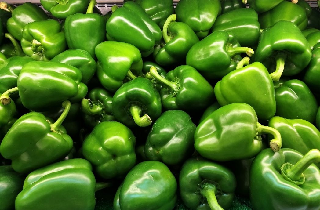 Green Bell Pepper
