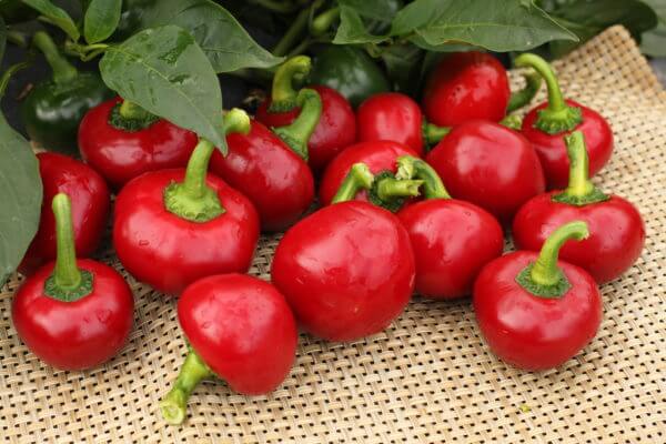 Hot Cherry Pepper