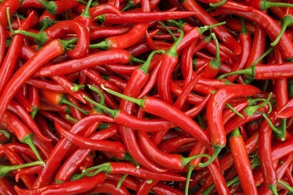 Hot Chili Pepper