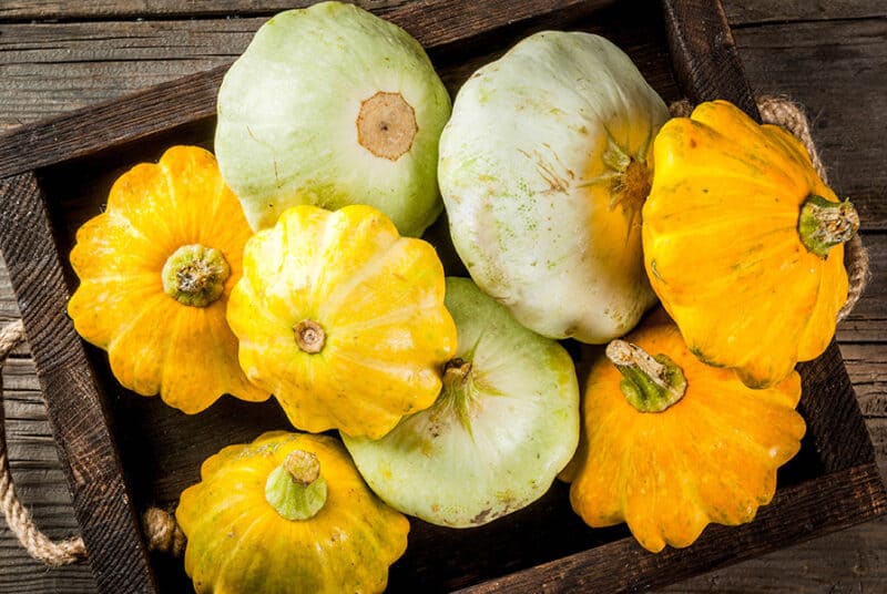 Patty Pan Squash
