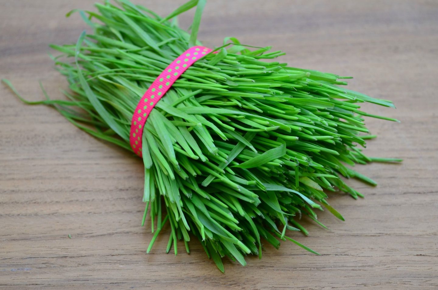 Persian Herb
