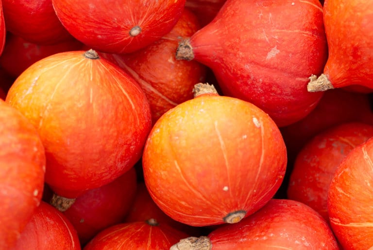 Red Kuri Squash