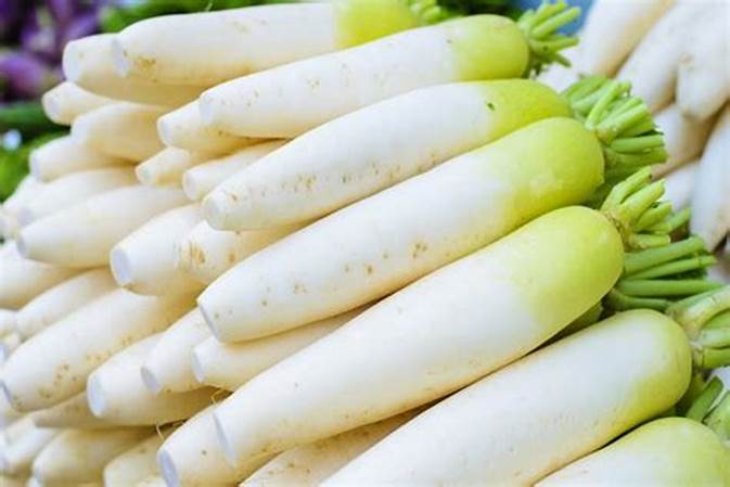 White Radish